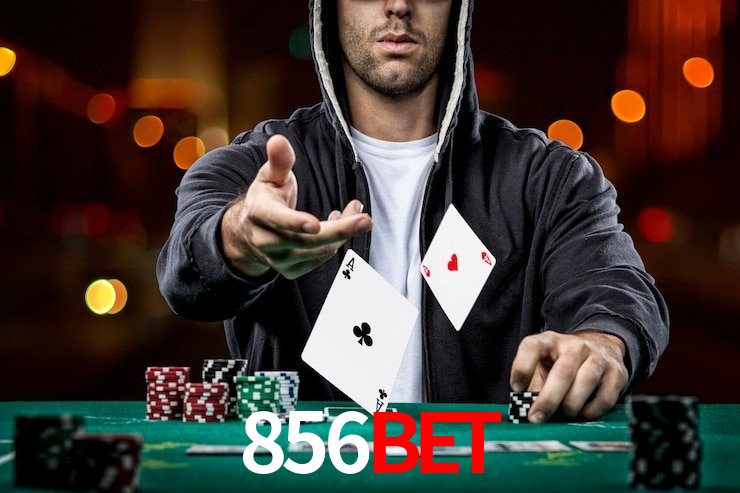856bet Apostas Esportivas Logo - 34 Esportes Certificados