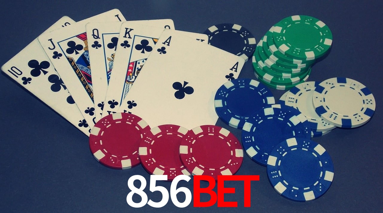 Player Reviews 856bet
