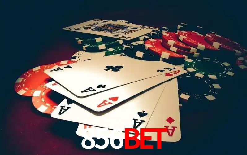 856bet VIP Program Logo
