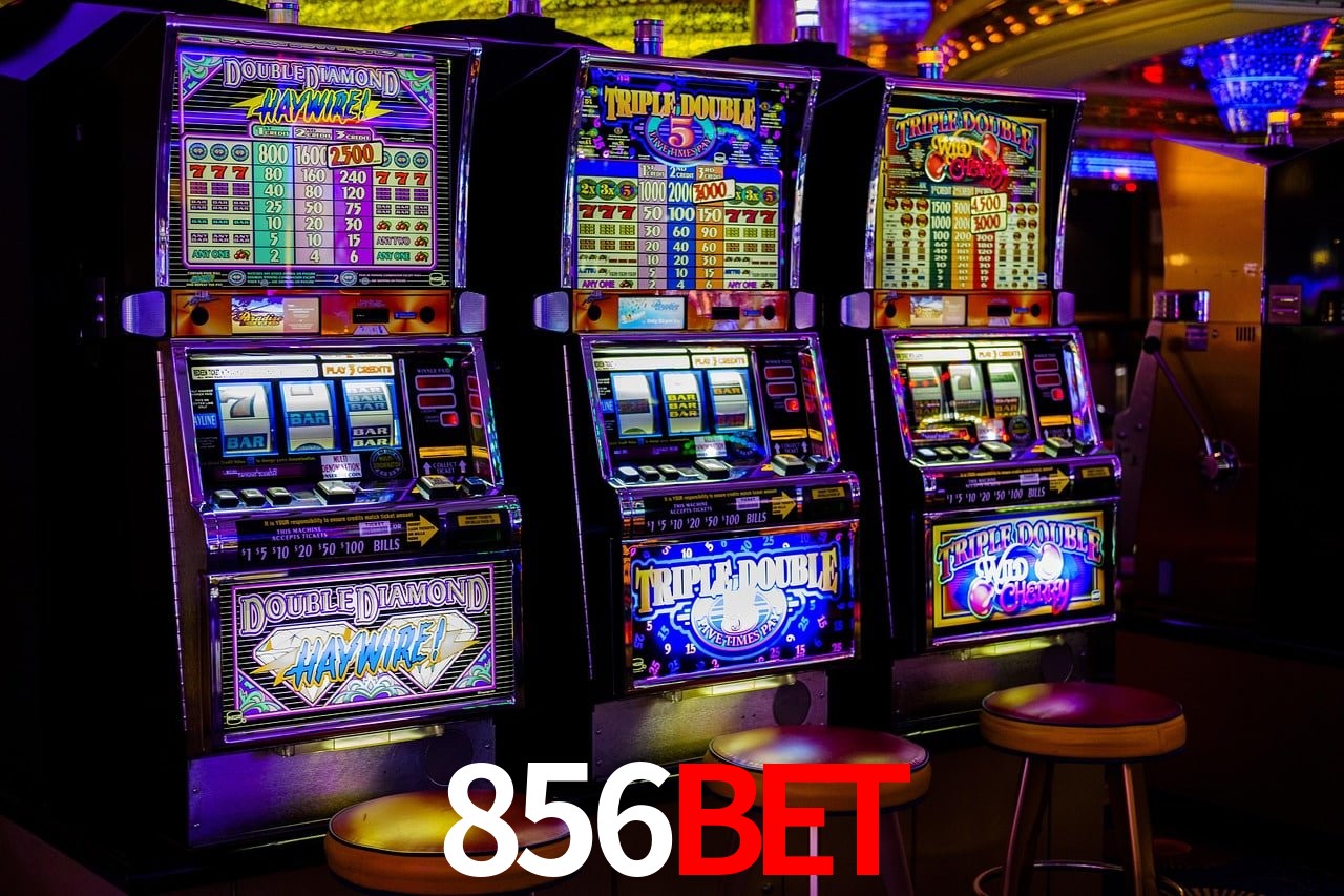 Tennis Betting 856bet